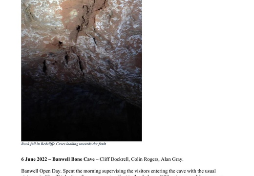 2022 Page 010